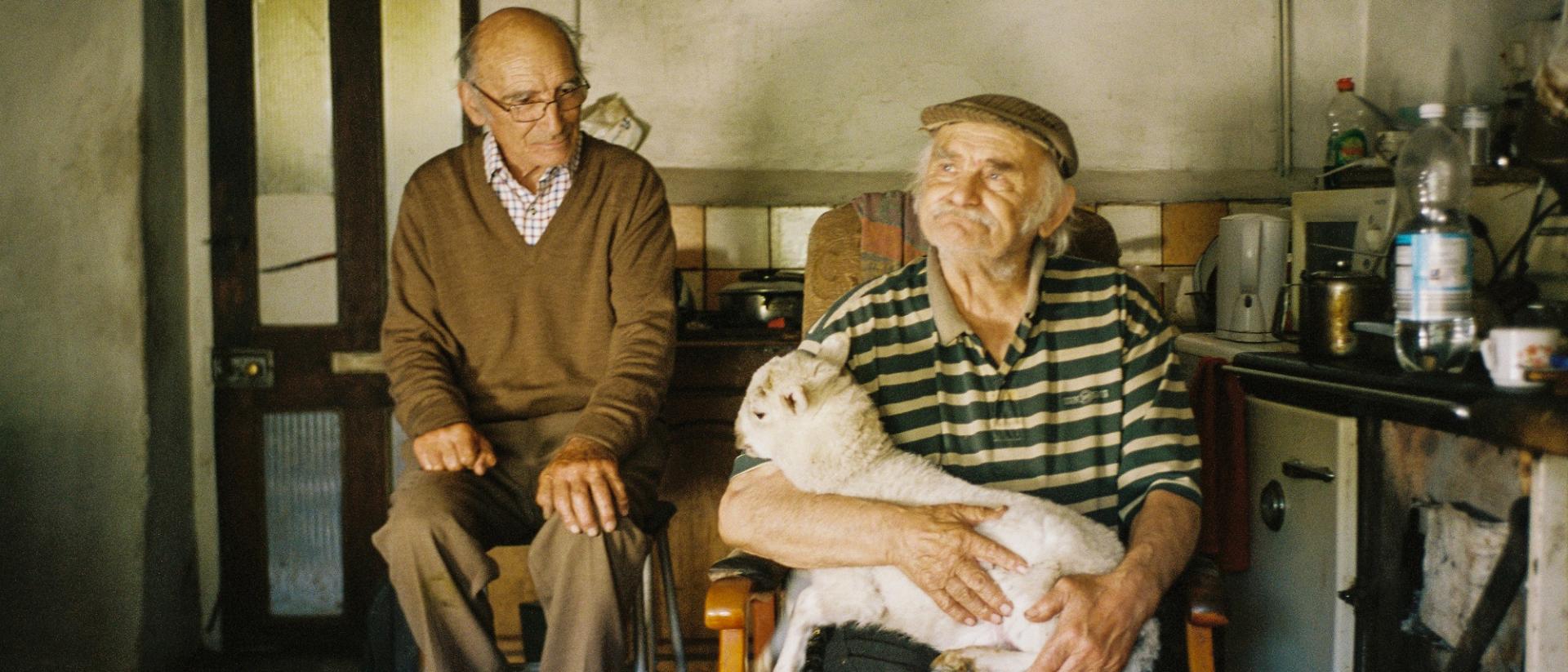 a photo of two elderly men sitting in a farmhouse kitchen. One has a small sheep on his lap.